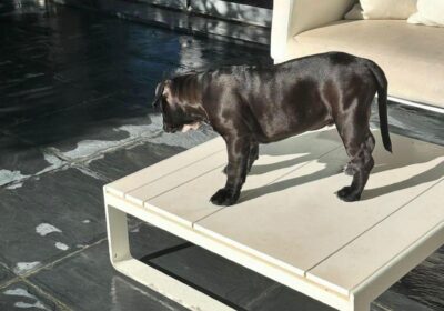 WhatsApp-Image-2026-03-04-at-05.20.051