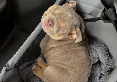 WhatsApp-Image-2026-03-04-at-05.21.59