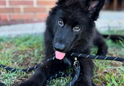 WhatsApp-Image-2026-03-04-at-05.22.012