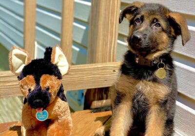 WhatsApp-Image-2026-03-04-at-05.22.014