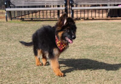 WhatsApp-Image-2026-03-04-at-05.22.017