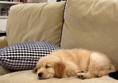 WhatsApp-Image-2026-03-04-at-05.22.021