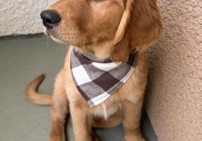 WhatsApp-Image-2026-03-04-at-05.22.023