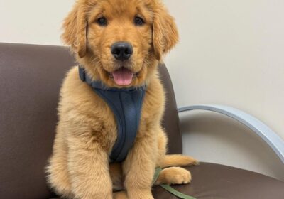 WhatsApp-Image-2026-03-04-at-05.22.025