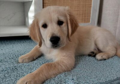 WhatsApp-Image-2026-03-04-at-05.22.032