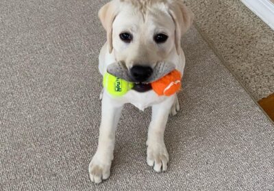 WhatsApp-Image-2026-03-04-at-05.22.033