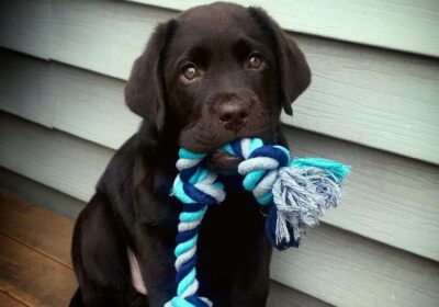 WhatsApp-Image-2026-03-04-at-05.22.037