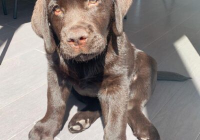 WhatsApp-Image-2026-03-04-at-05.22.038