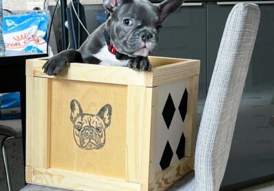 WhatsApp-Image-2026-03-04-at-05.22.04