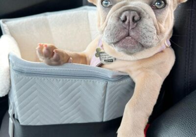 WhatsApp-Image-2026-03-04-at-05.22.043