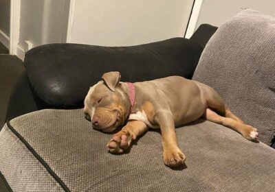 WhatsApp-Image-2026-03-04-at-05.22.045