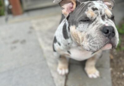 WhatsApp-Image-2026-03-04-at-05.22.05