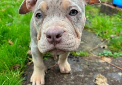 WhatsApp-Image-2026-03-04-at-05.22.053