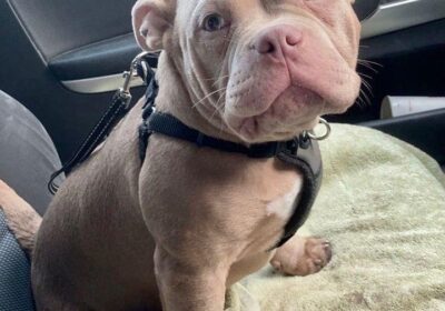 WhatsApp-Image-2026-03-04-at-05.22.055