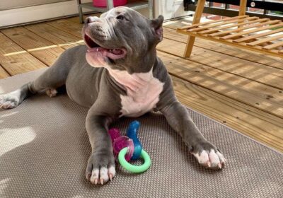 WhatsApp-Image-2026-03-04-at-05.22.057