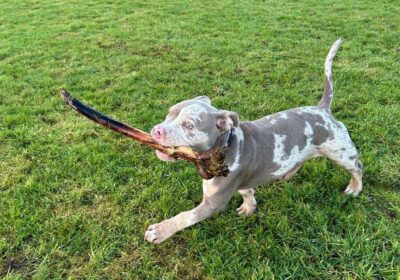 WhatsApp-Image-2026-03-04-at-05.22.058