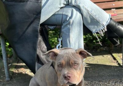 WhatsApp-Image-2026-03-04-at-05.22.061