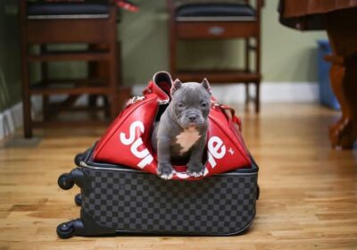 WhatsApp-Image-2026-03-04-at-05.22.063