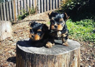 WhatsApp-Image-2026-03-04-at-05.36.571